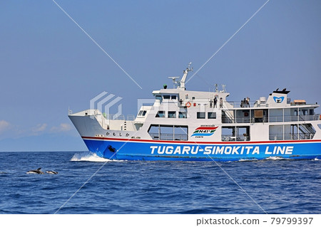 Dolphin watching on Mutsu Bay ferry 79799397
