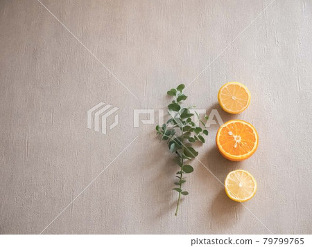 Lemon and orange citrus and eucalyptus leaves. Relaxing aroma scent. 79799765