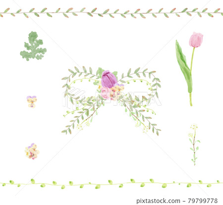 鬱金香和葉子絲帶 79799778