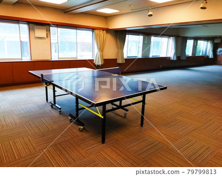 Table tennis table 79799813