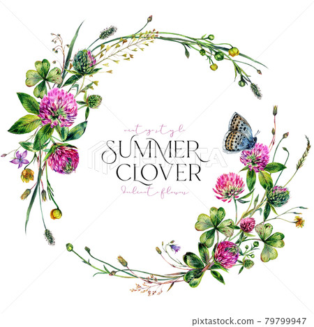 Watercolor Wildflower Wreath made of Clover Flowers and Leaves, Foliage, Greenery, Meadow Grass Isolated on White. 79799947