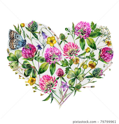 Watercolor Heart-Shaped Clover Bouquet Isolated on White. 79799961
