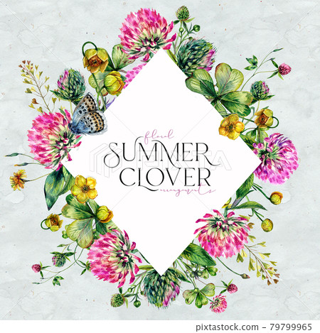Watercolor Clover Floral Frame Isolated on White. 79799965
