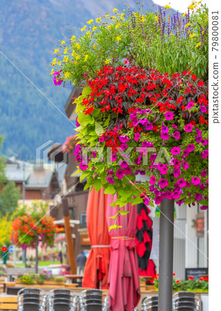 Flowers in center of Chamonix Mont-Blanc, France 79800081