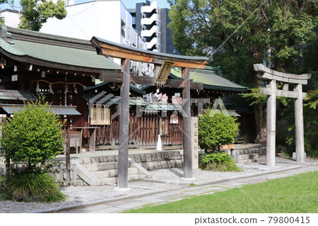 大阪市天王寺區生多摩神社的雪松社（家藏總神社、淨琉璃神社） 79800415