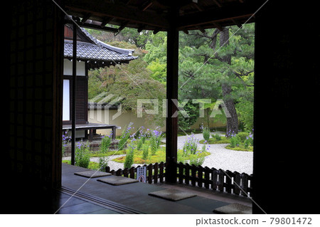 廬山寺在花園裡盛開 廬山寺在花園裡盛開 79801472