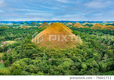 Chocolate Hills on Bohol Island, Philippines 79801711