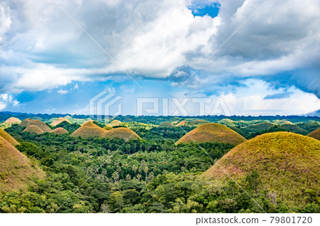 Landscape of Chocolate Hills on Bohol Island, Philippines 79801720