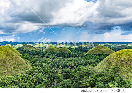 菲律賓薄荷島雨季的綠色巧克力山 79801721