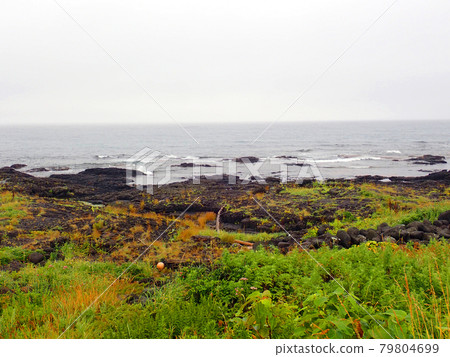北海道利尻島北區自行車路線 79804699