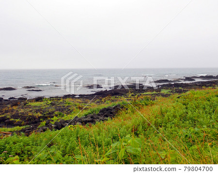 北海道利尻島北區自行車路線 79804700