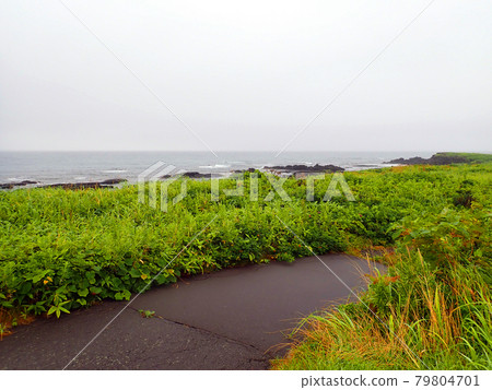 北海道利尻島北區自行車路線 79804701