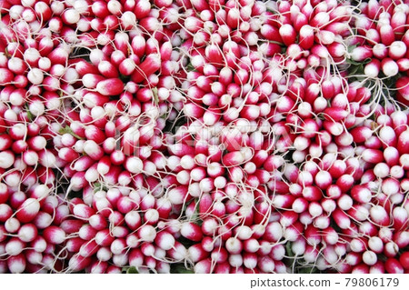 Radishes on french market 79806179