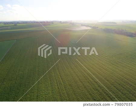 Aerial view farm field, Lion's Mound, Battle field, Napoleon, Waterloo, Belgium 79807035