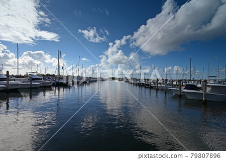 Summer cloudscape reflected in calm water of Dinner Key in Miami, Florida. 79807896