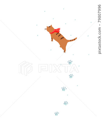 Cat walking in the snow-Tora cat Cat walking in the snow-Tora cat 79807996