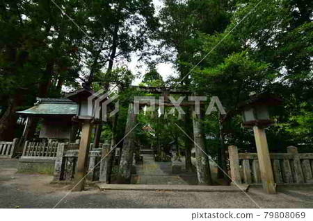 From Sumiyoshi Shrine From Sumiyoshi Shrine 79808069