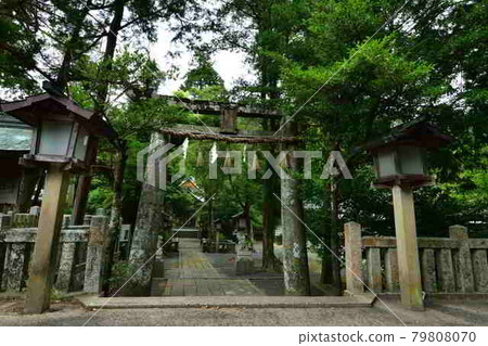 From Sumiyoshi Shrine 79808070