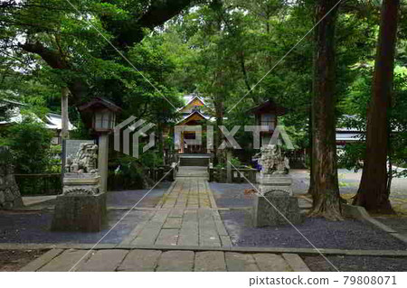 From Sumiyoshi Shrine From Sumiyoshi Shrine 79808071