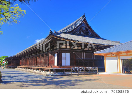 【京都】晴空下的三十三間堂 本堂 79808876