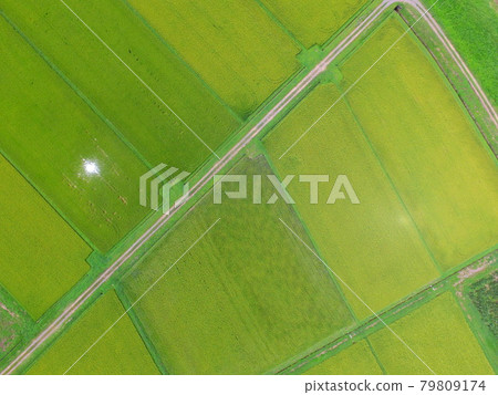Rice field ~ Aerial photograph with drone (Kunida Basin / Zao-machi Kariya-gun Miyagi prefecture) 79809174