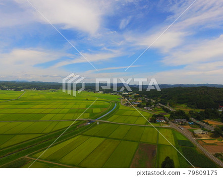 Rice field ~ Aerial photograph with drone (Kunida Basin / Zao-machi Kariya-gun Miyagi prefecture) 79809175