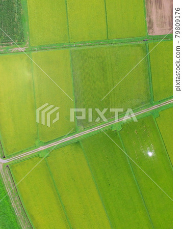 Rice field ~ Aerial photograph with drone (Kunida Basin / Zao-machi Kariya-gun Miyagi prefecture) 79809176