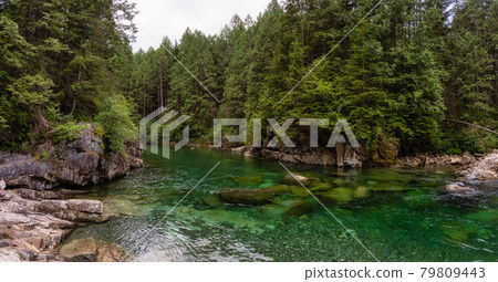 Panoramic View of the river in the Canadian Mountain Landscape 79809443