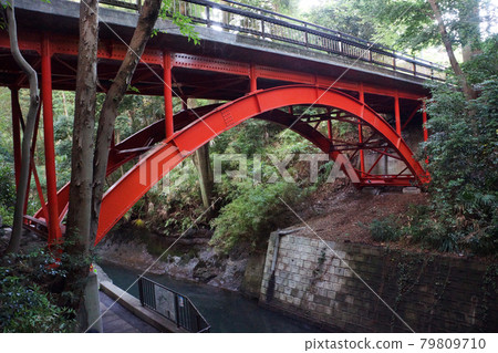 城市中的自然景觀:東京23區唯一的峽谷——Todoroki Ravine和Golf Bridge 城市中的自然景觀:東京23區唯一的峽谷——Todoroki Ravine和Golf Bridge 79809710