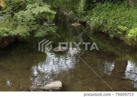 Negawa Greenery Road Waterway [Tachikawa City, Tokyo] 79809753