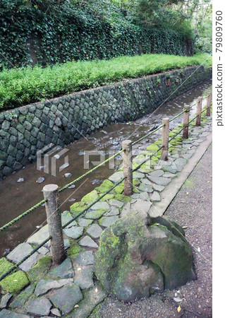 Nature in the city Todoroki Ravine, the only valley in Tokyo's 23 wards Nature in the city Todoroki Ravine, the only valley in Tokyo's 23 wards 79809760