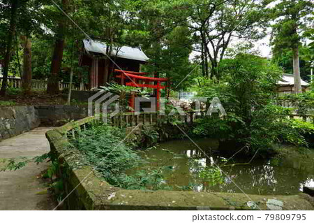 從住吉神社 79809795