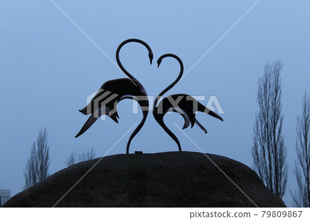 two swans stand on a heart-shaped stone. Mother's Day card, Valentine's Day Valentine's Day 79809867