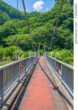 Maho no Taki自然公園附近臼井川附近的吊橋初夏的周邊景色 Maho no Taki自然公園附近臼井川附近的吊橋初夏的周邊景色 79809969