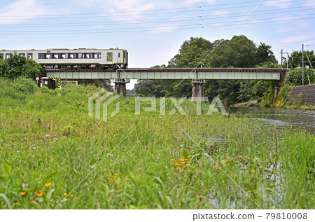 Railway JR: JR East Hachiko Line 79810008