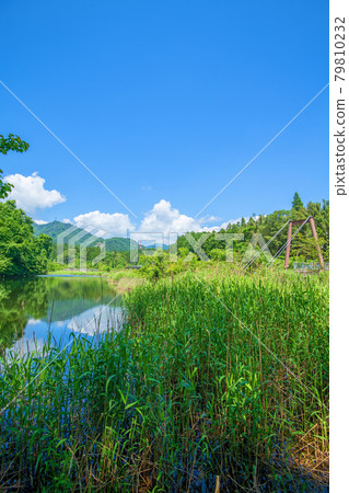 麻生吊橋附近的池塘，真保瀧自然公園，初夏的環境， 79810232