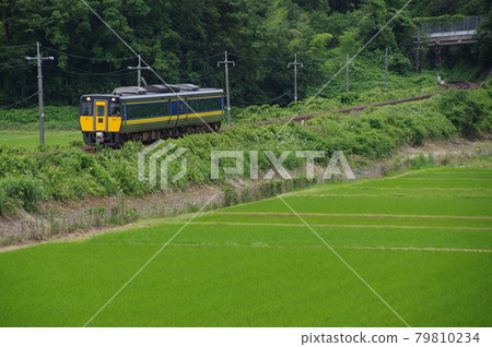 山陰線特快衝（木葉187）1 79810234