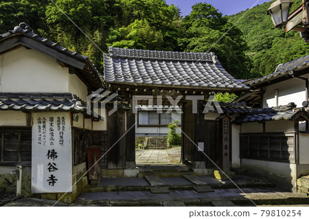 Mihonoseki Aoishi Tatami Dori Bukkokuji Temple Matsue City, Shimane Prefecture 79810254