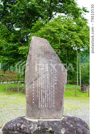 雨季過後的莊川櫻 79810530