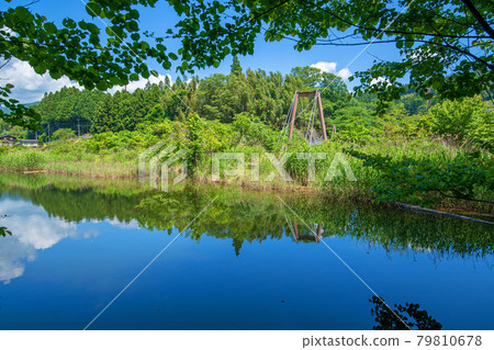 A pond near the Asao suspension bridge, Maho no Taki Nature Park, early summer surroundings, 79810678