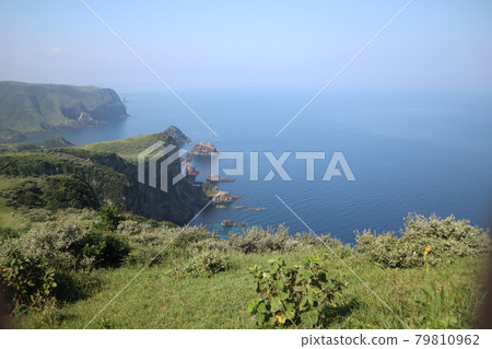 隱岐群島西之島國日海岸 隱岐群島西之島國日海岸 79810962