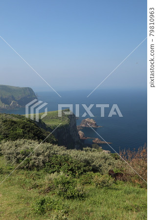 隱岐群島西之島國日海岸 79810963