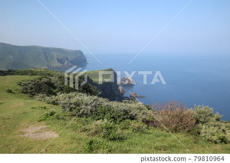 隱岐群島西之島國日海岸 隱岐群島西之島國日海岸 79810964