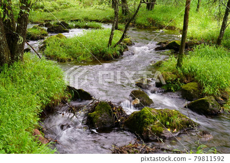 Kirigamine Landing Bog 79811592