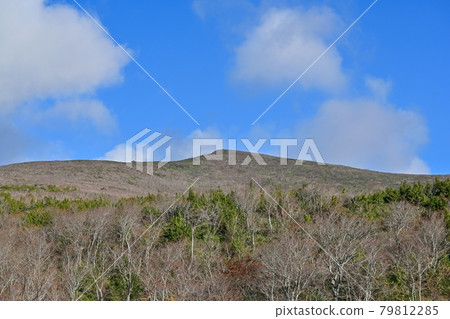A scene of late autumn of deciduous trees seen at the observatory of the pass @ Miyagi 79812285