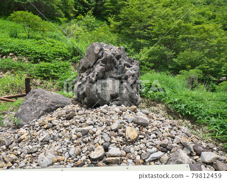 Blind snake stone Yunohana Sesshoseki 79812459