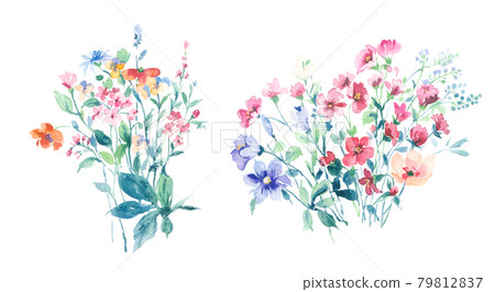  色彩豐富的花卉素材組合和設計元素 79812837