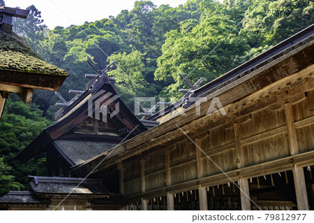 三保神社本殿 島根縣松江市 三保神社本殿 島根縣松江市 79812977