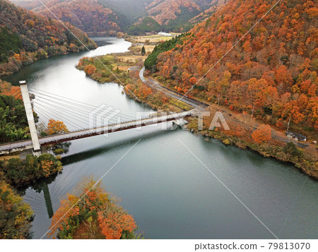 [Drone aerial photography, Miyama-cho, Kyoto Prefecture, autumn leaves] Autumn scenery of Ono Dam and Rainbow Lake, Nantan City, Kyoto Prefecture 79813070