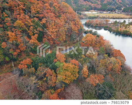 [Drone aerial photography, Miyama-cho, Kyoto Prefecture, autumn leaves] Autumn scenery of Ono Dam and Rainbow Lake, Nantan City, Kyoto Prefecture 79813079